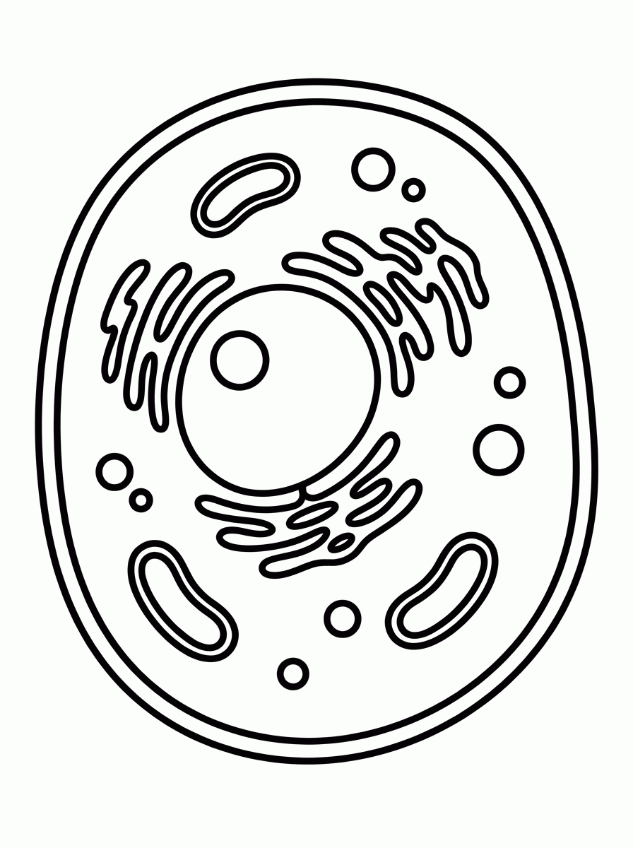 Célula para colorir