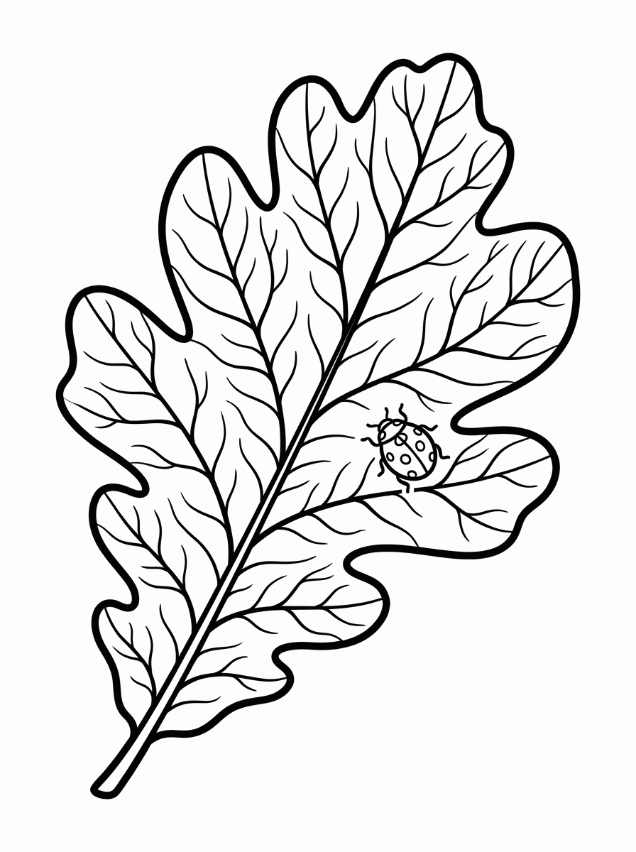 Folha e Joaninha para colorir