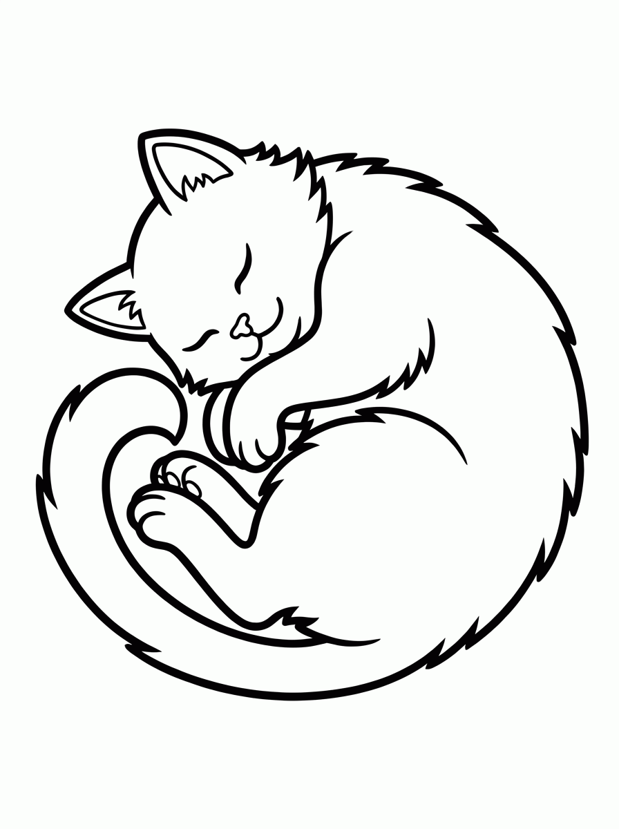 Gato Dormindo para colorir