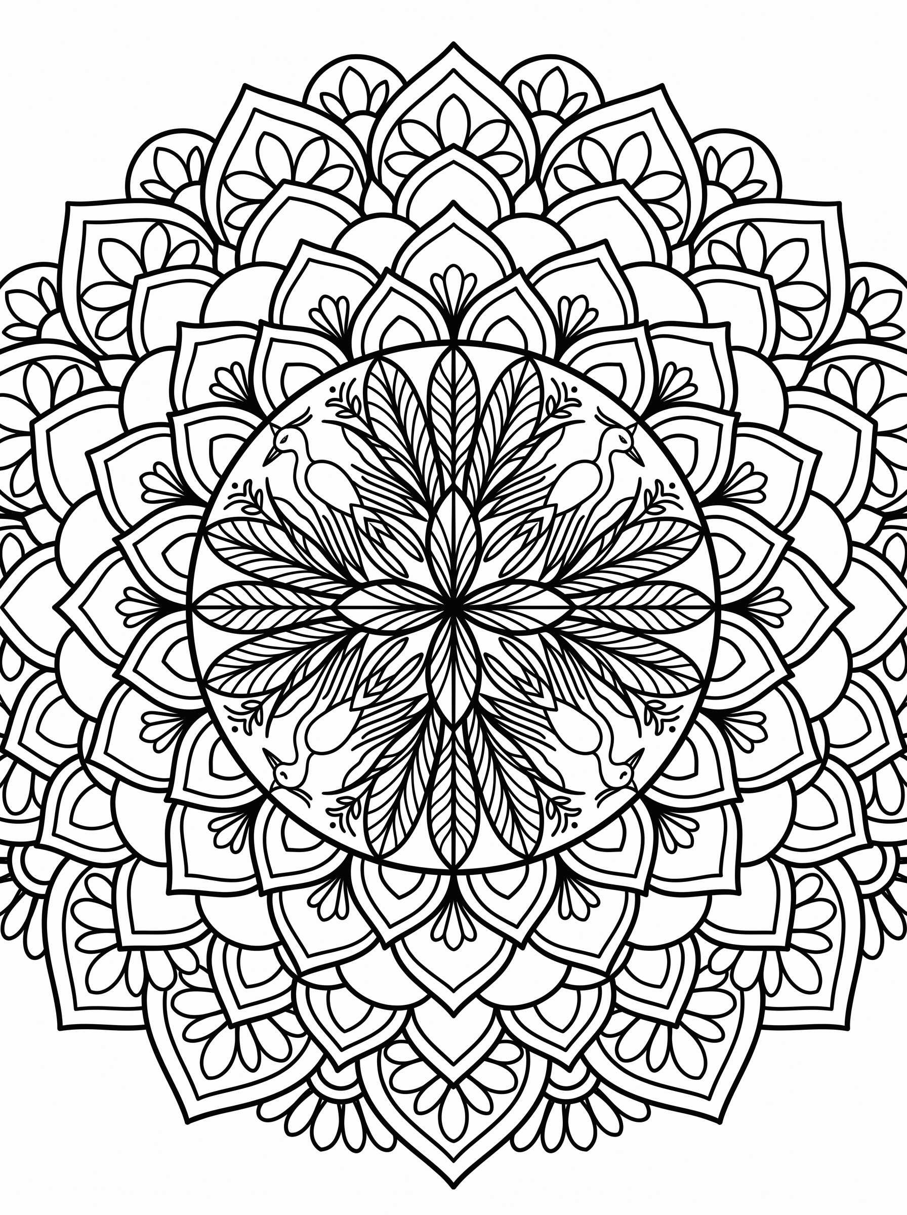 Mandala de Pássaros para colorir