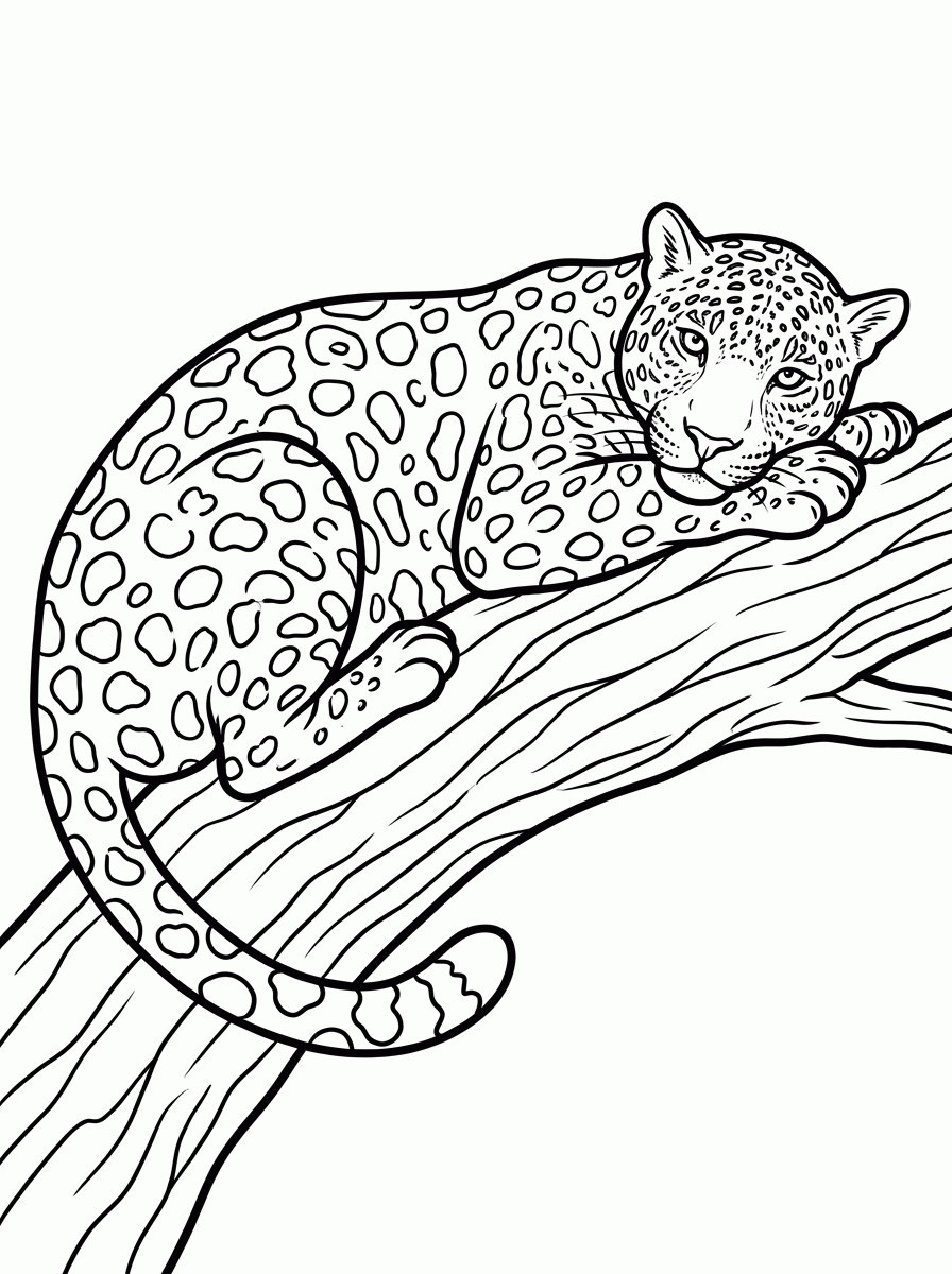 Onça na Árvore para colorir