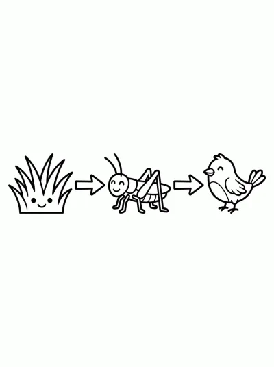 Desenho de Cadeia alimentar para colorir