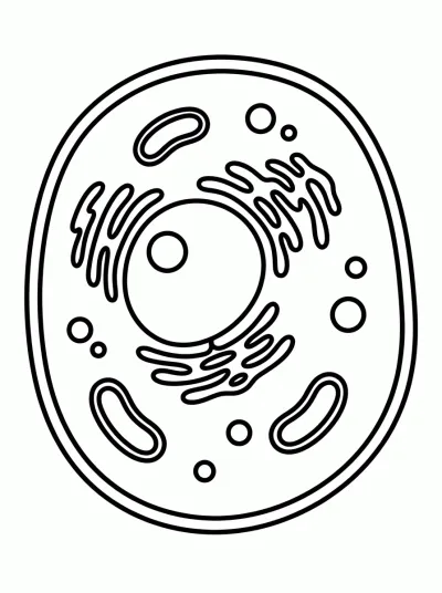 Desenho de Célula para colorir