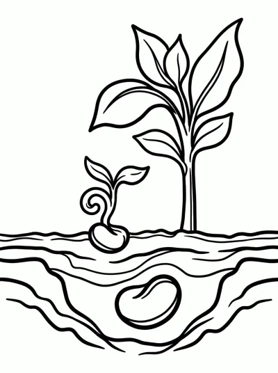 Desenho de Germinação da semente para colorir