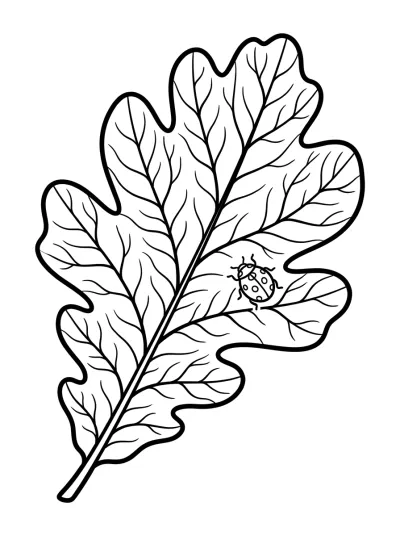 Desenho de Folha e Joaninha para colorir