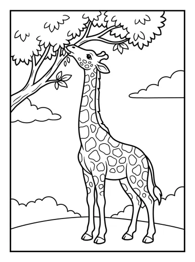 Desenho de Girafa Comendo Folhas para colorir
