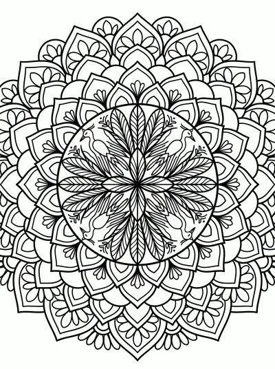 Desenho de Mandala de Pássaros para colorir