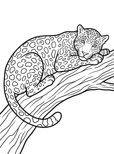 Desenho de Onça na Árvore para colorir